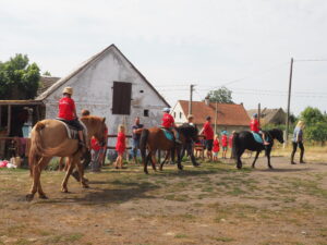 Toulavý kůň dětem…