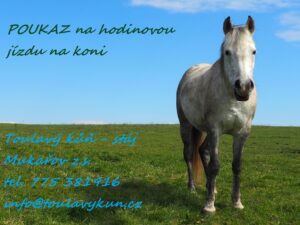 Poukázka na hodinovou jízdu na koni
