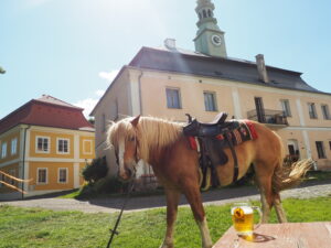 Jarní Levín a okolí