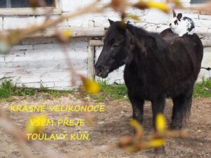 U NÁS SI ZAJEZDÍ KAŽDÝ … I EVŽEN🐰