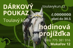 Dárkový poukaz
