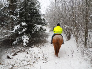 Cesta lesem…(video)