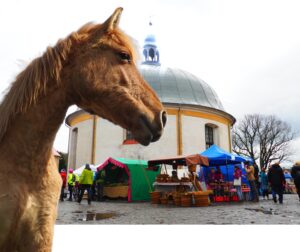 Výlet na koních s prohlídkou Velikonočního jarmarku v Levíně