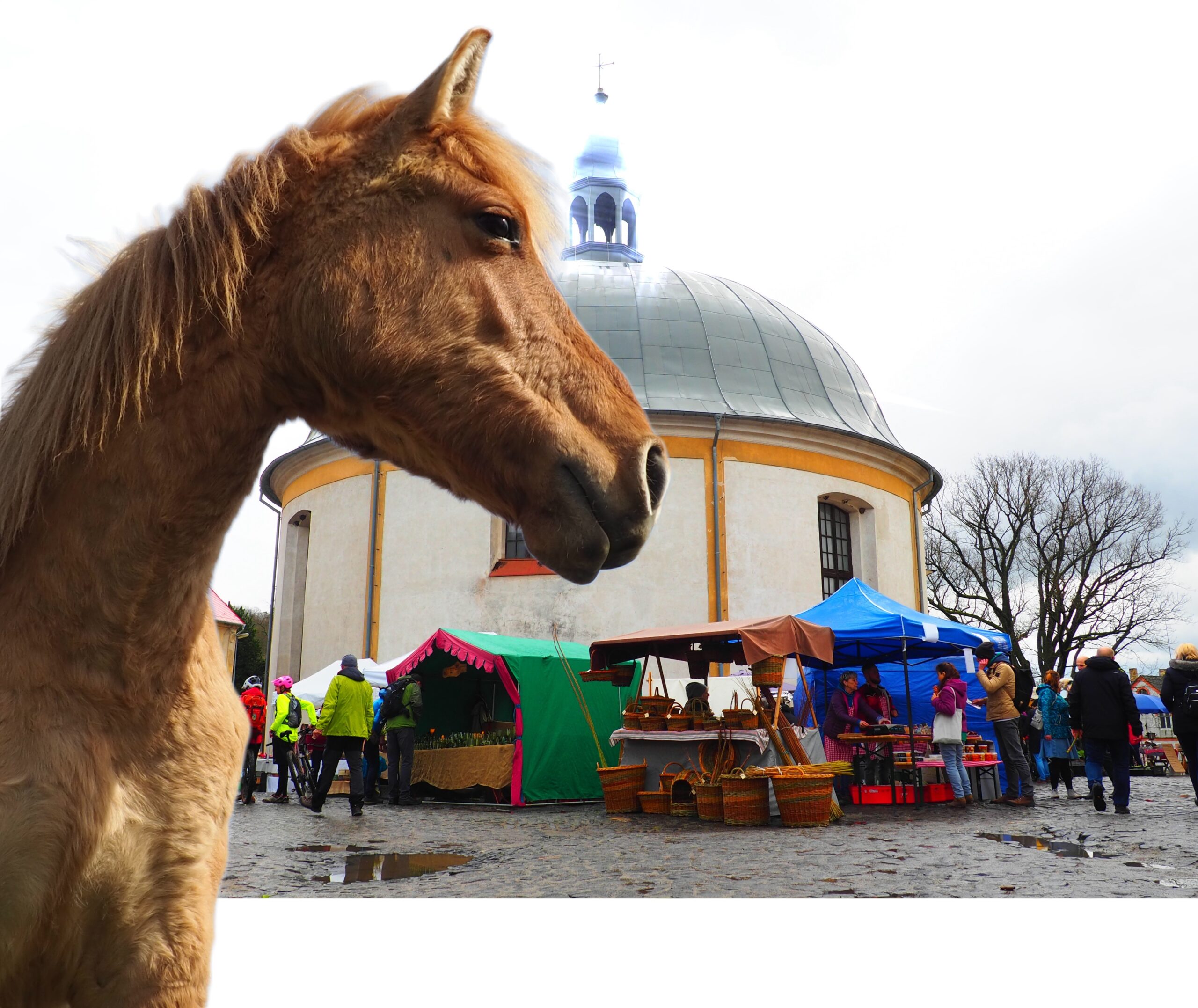 Výlet na koních s prohlídkou Velikonočního jarmarku v Levíně