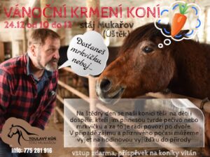 Krmení koníků na Štědrý den